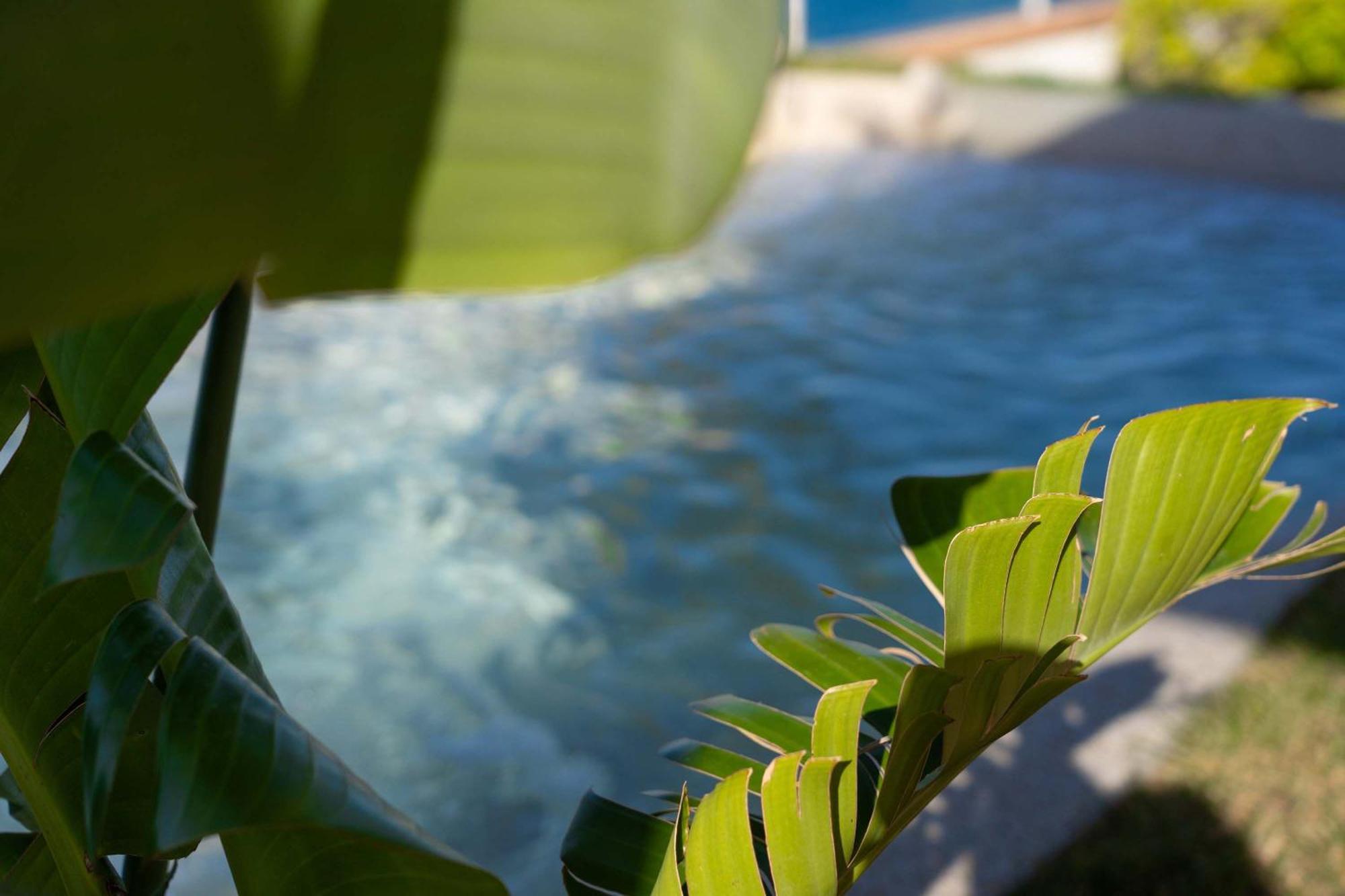 Villa Zagara Garden Spectacular Sea View In Taormina Luaran gambar